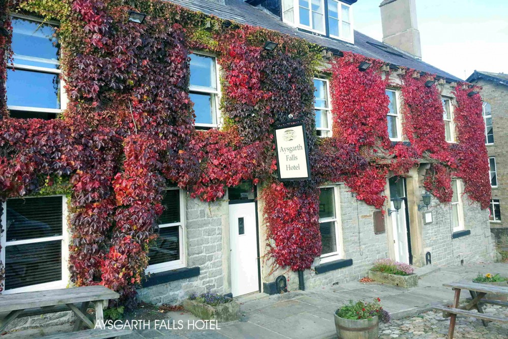 aysgarthfallshotel.com