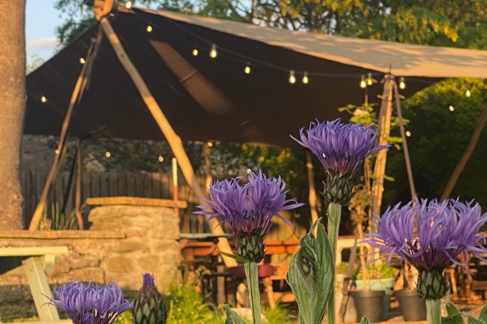 The Feathers Inn
