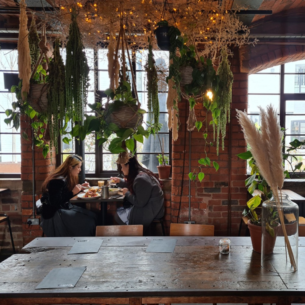 girls having brunch under hanging plants