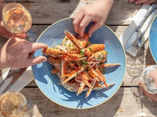 Where to Eat on the North East Coast