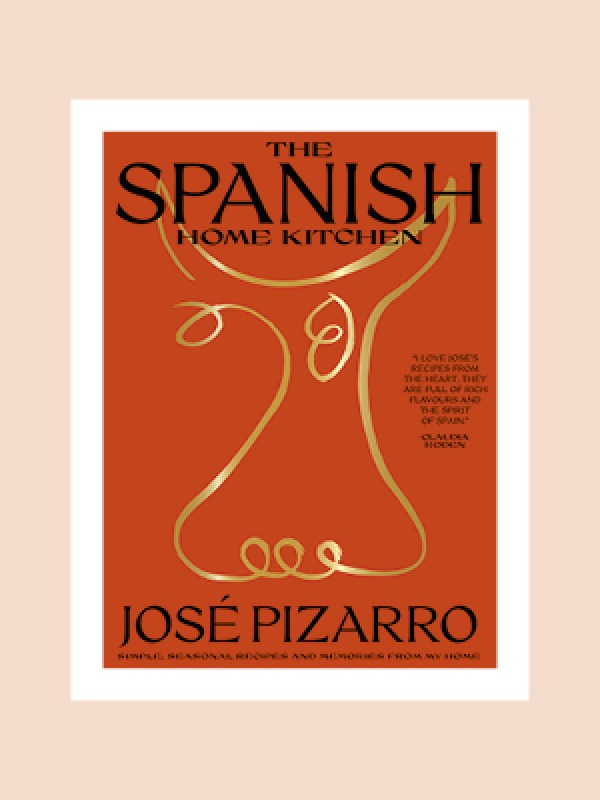 José Pizarros book cover