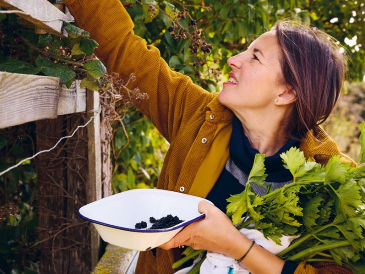 Three Delicious Recipes to Help Rewild Your Microbiome