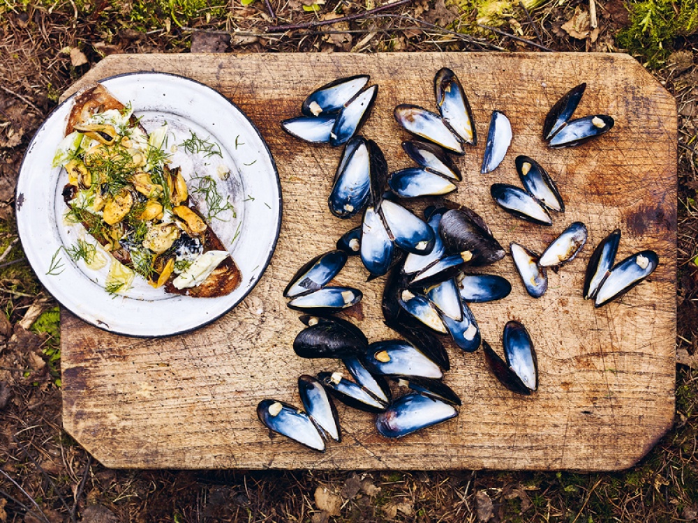 plate with toasted bread topped with mussels on a board with mussel shells
