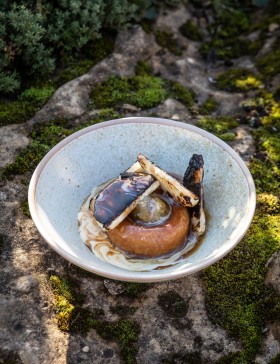 Sous-Vide Hispi with Plum and Black Garlic