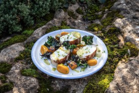 Halibut Wrapped in Chicken Skin, Squash, Kale and Douglas Fir Salad