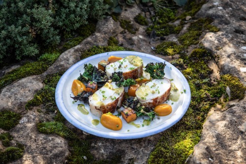 Halibut Wrapped in Chicken Skin, Squash, Kale and Douglas Fir Salad
