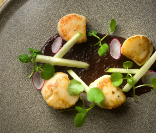 Seared scallops, black pudding purée, apple, radish and watercress salad