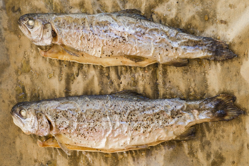 Newspaper Fish from Wild Child: Adventure Cooking with Kids by Sarah Glover