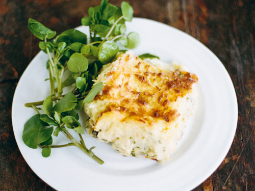 Doddington Dairy's Fish Pie with Flat-Leaf Parsley and Sorrel