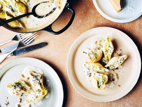 Cavolo Nero and Ricotta Conchiglioni in a Gorgonzola Sauce