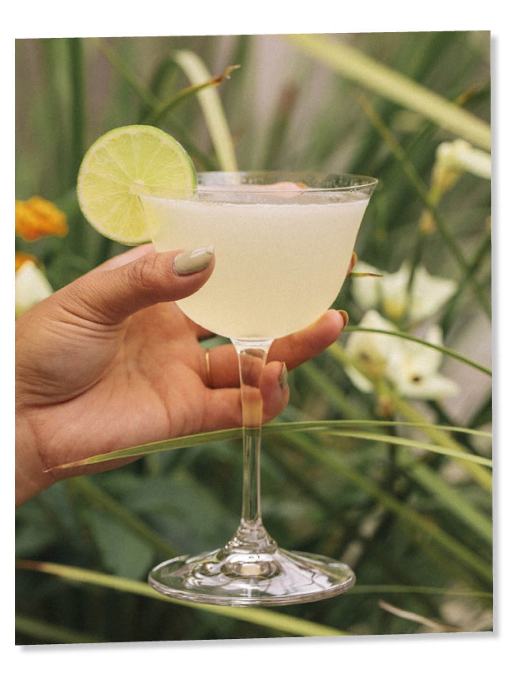 818 margarita