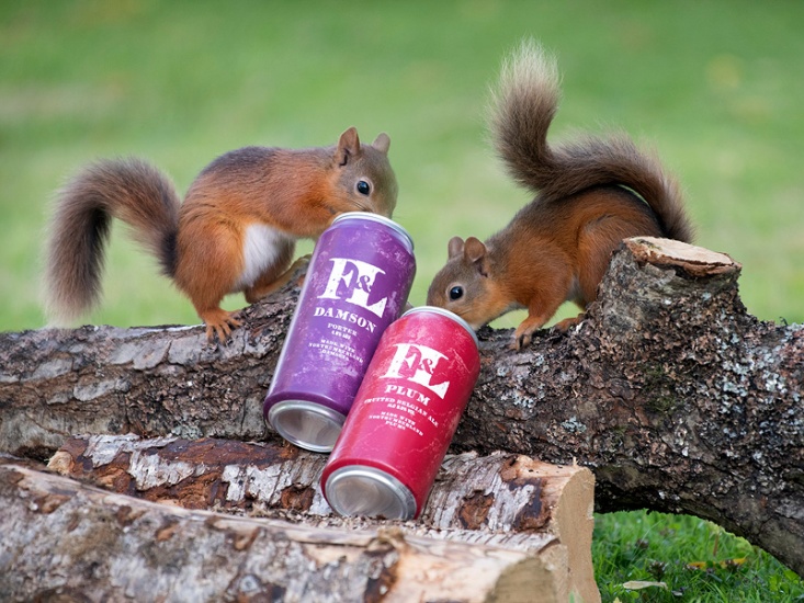 Beer Review: The First & Last Brewery’s Foraged Range