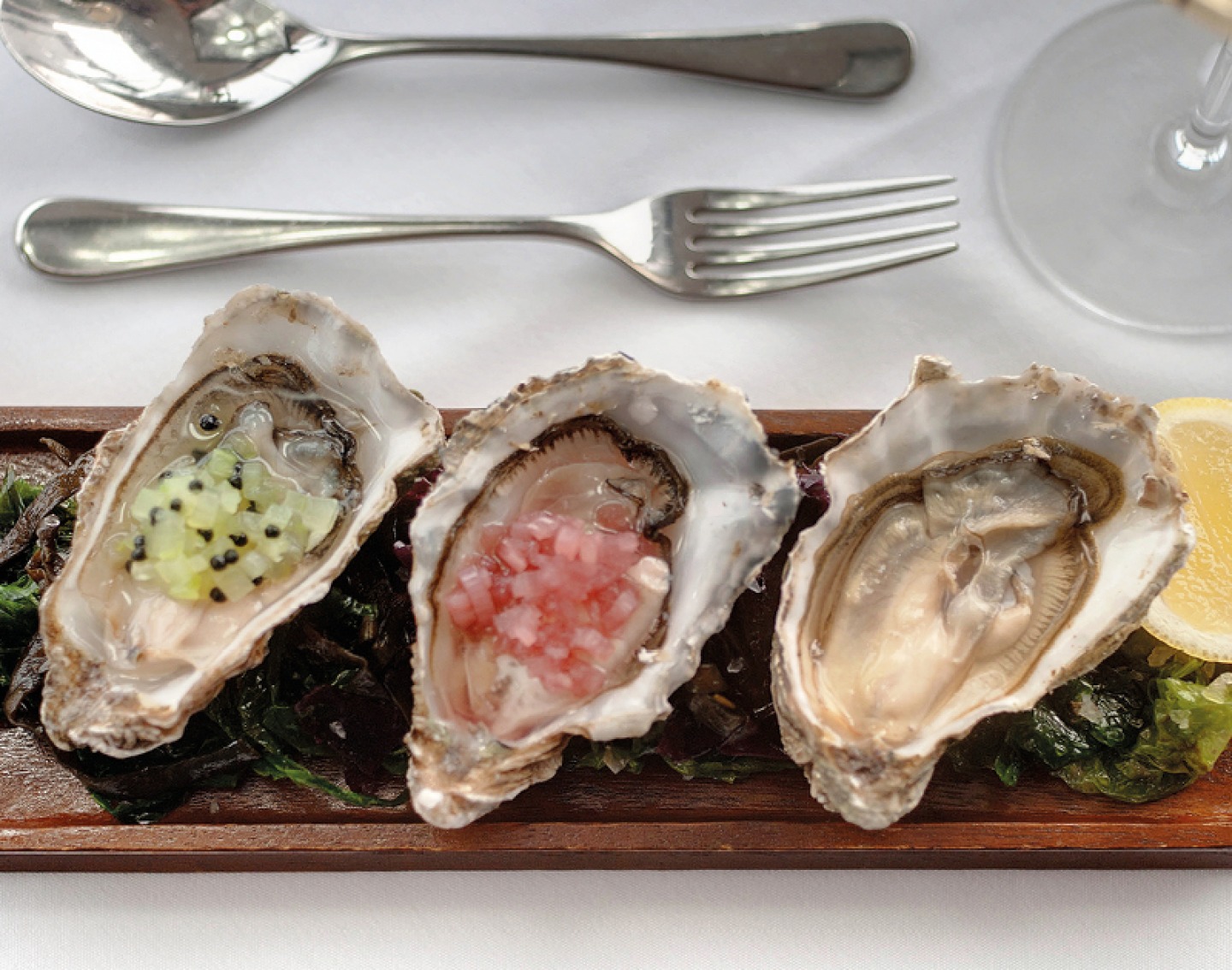 Oysters