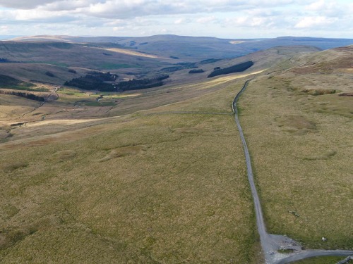 How The Woodland Trust are Creating one of England's Largest New Native Woodlands in North Yorkshire