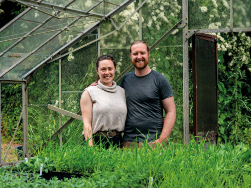 Meet the Gardening Duo Restoring a Derelict Plant Nursery Near Harrogate