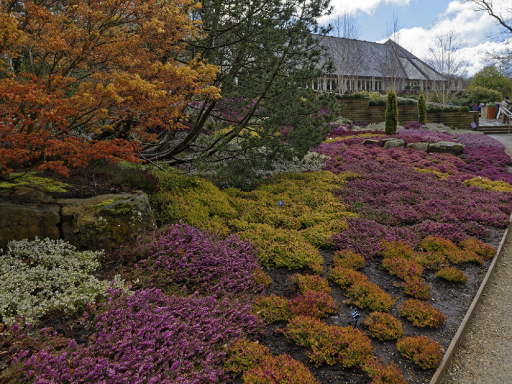 RHS Harlow Carr