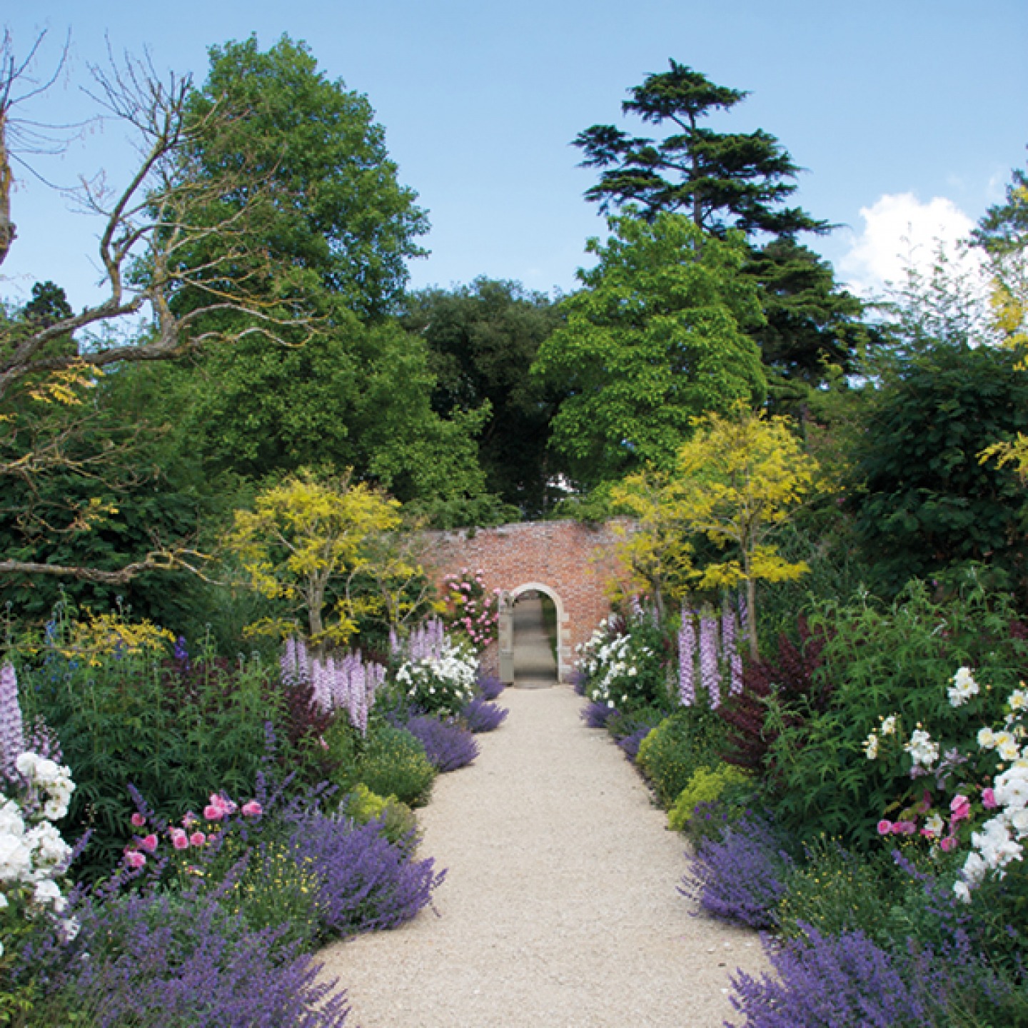 Walk way lined with flowers leading to an arched opening in a wall