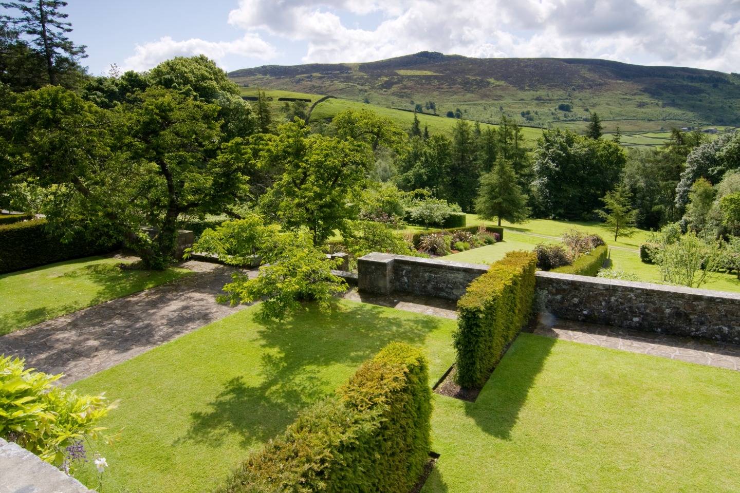 view of lawned gardens