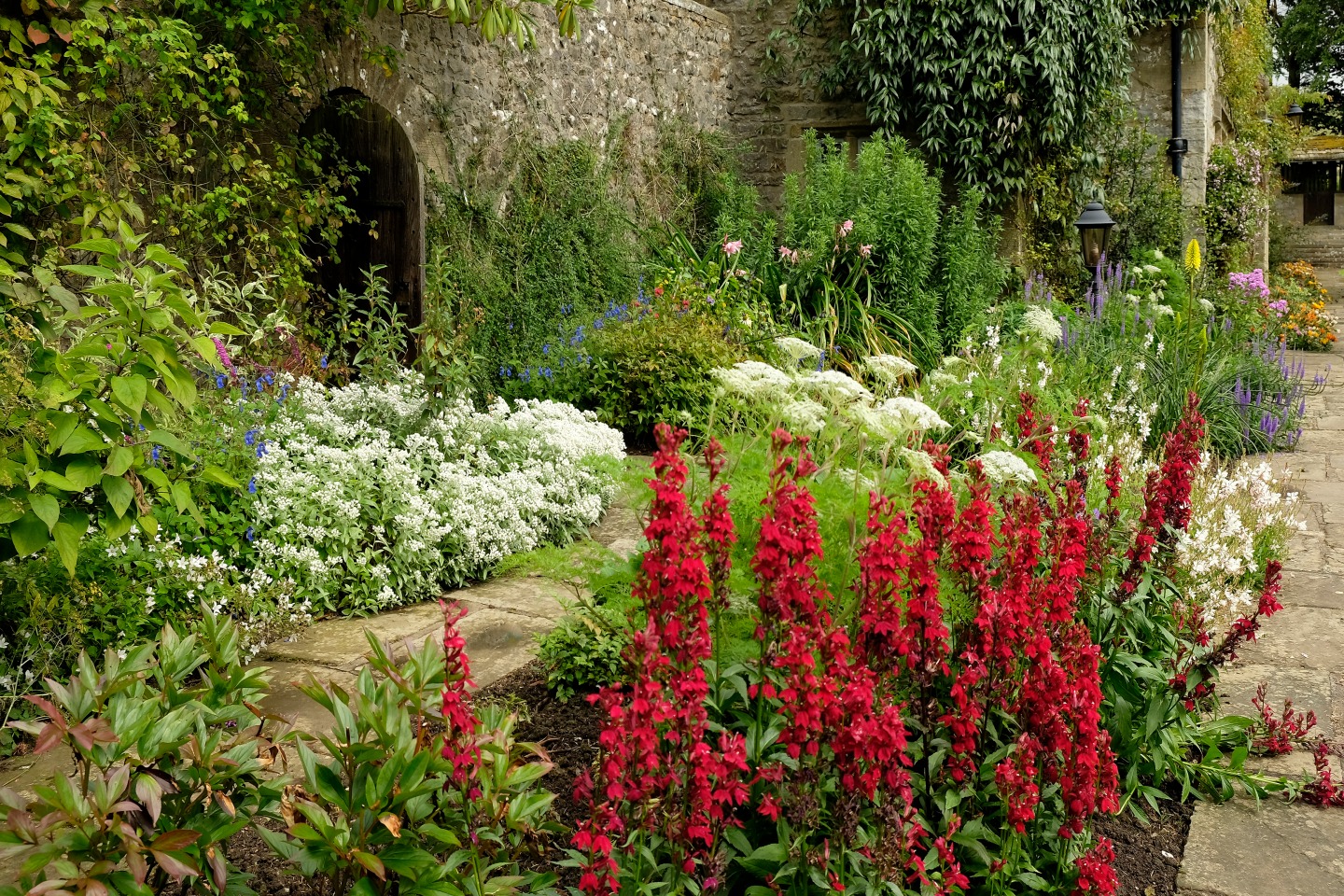 plants and foliage in a walled garden
