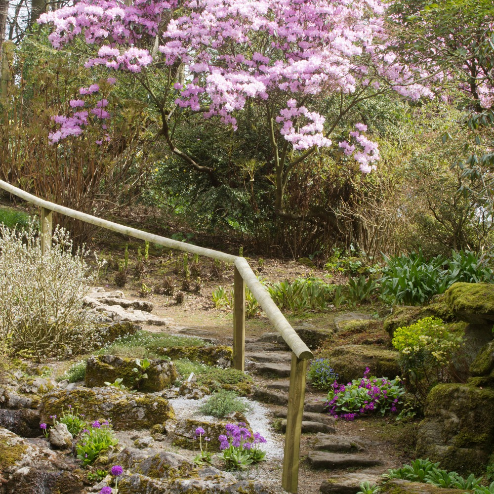 staircase of stepping stones with a wooden handrail and foliage