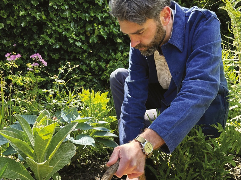 Ross Pearson pruning flowers in May garden