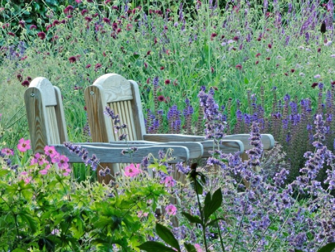 What to Expect from Yorkshire's Gardens this Month