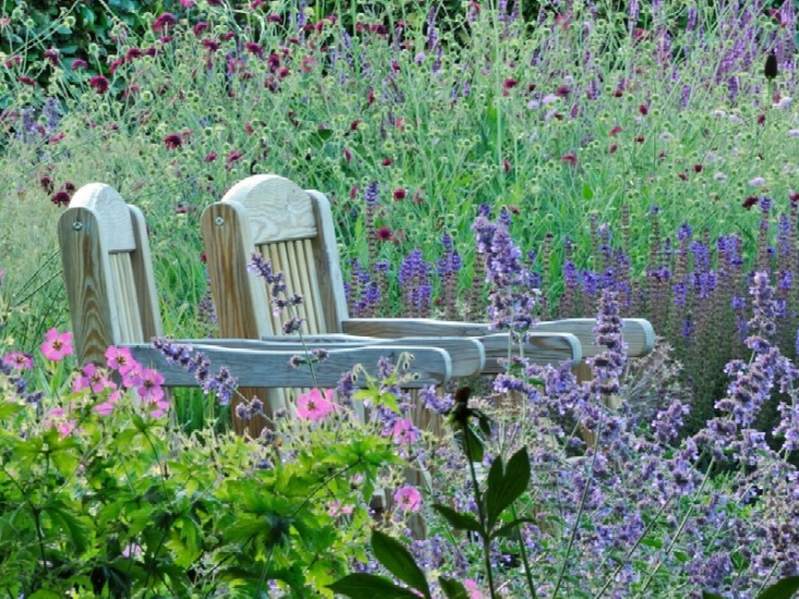 What to Expect from Yorkshire's Gardens this Month