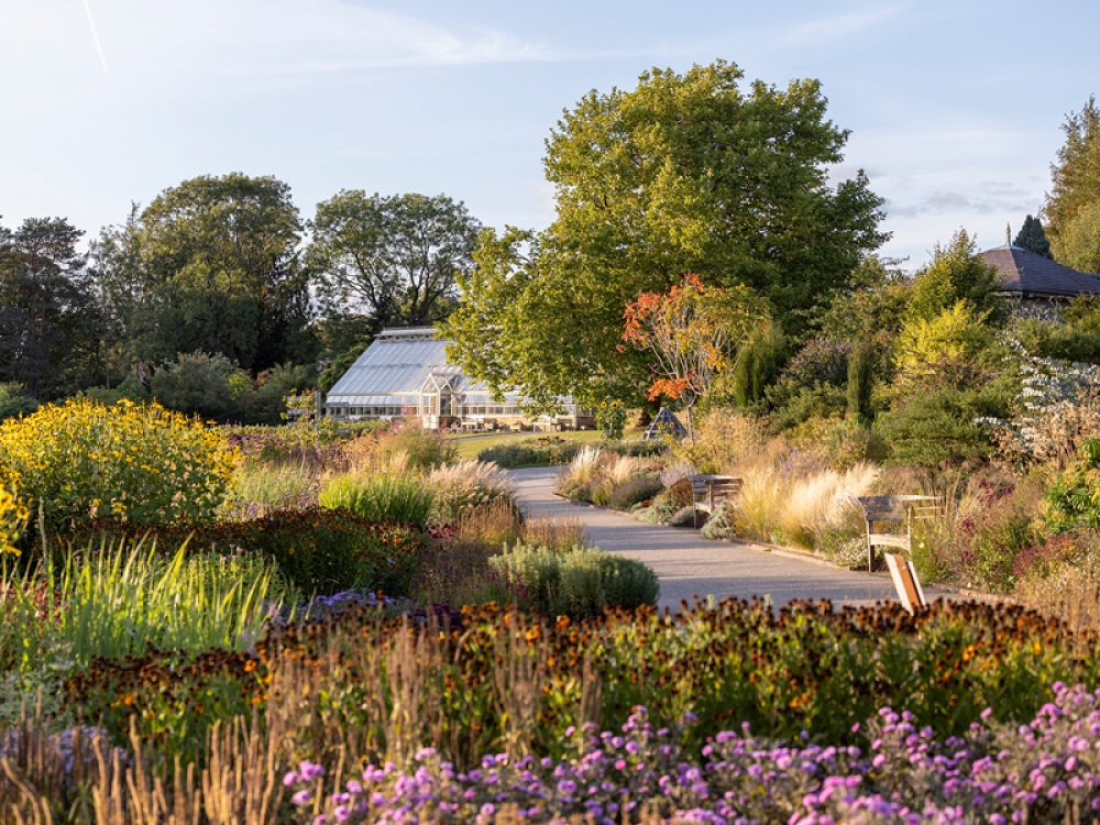 Celebrating 25 Years of RHS Garden Harlow Carr