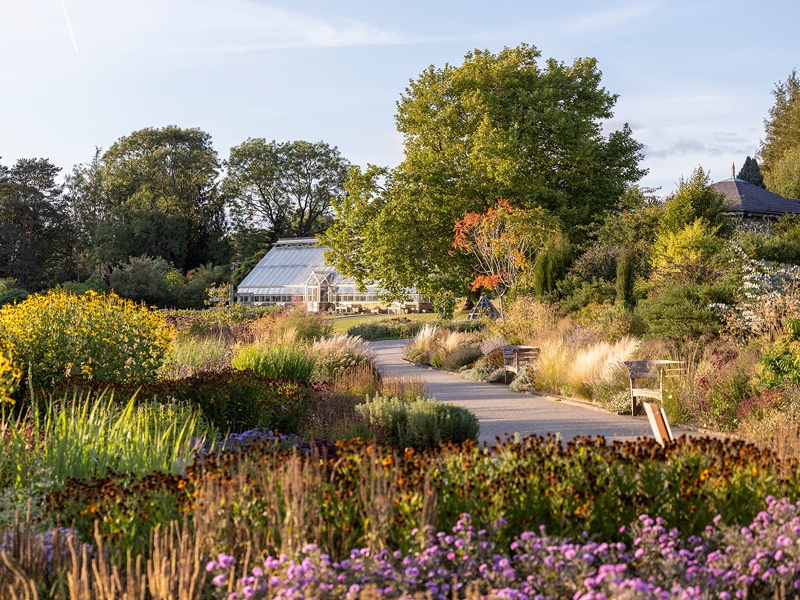 Celebrating 25 Years of RHS Garden Harlow Carr