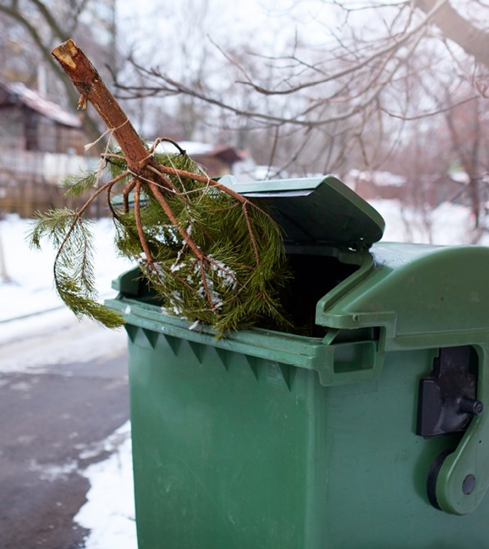 Christmas tree in a bin