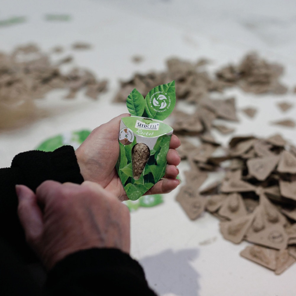Hand holding Grow So Simple Seed pack