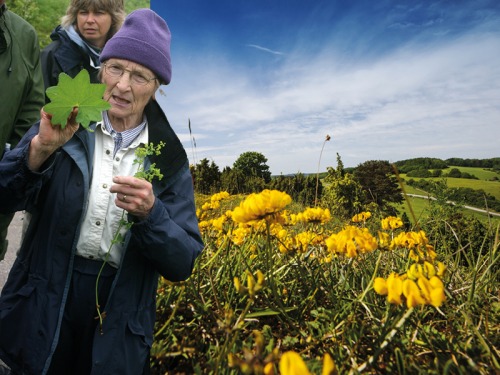 Botanist, Dr Margaret E Bradshaw Publishes Her First Book at 97 Years Old