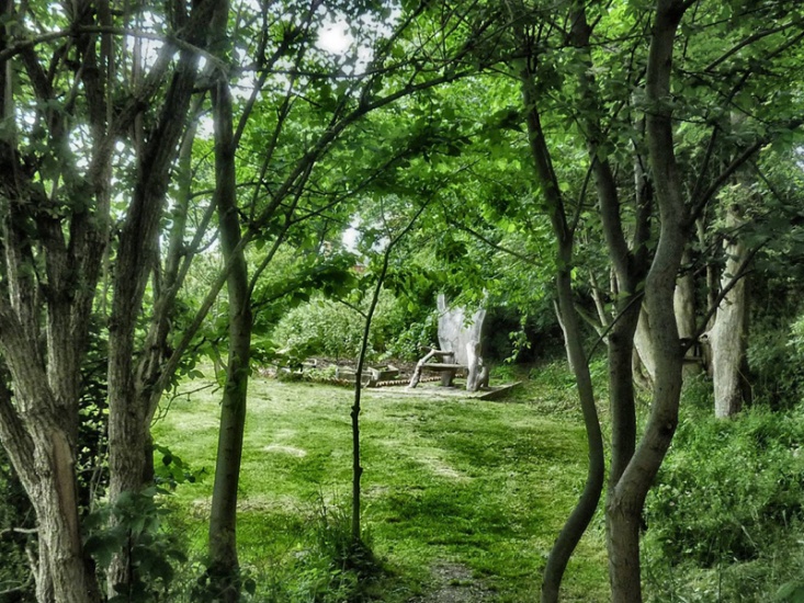 The Station Master's Community Wildlife Garden
