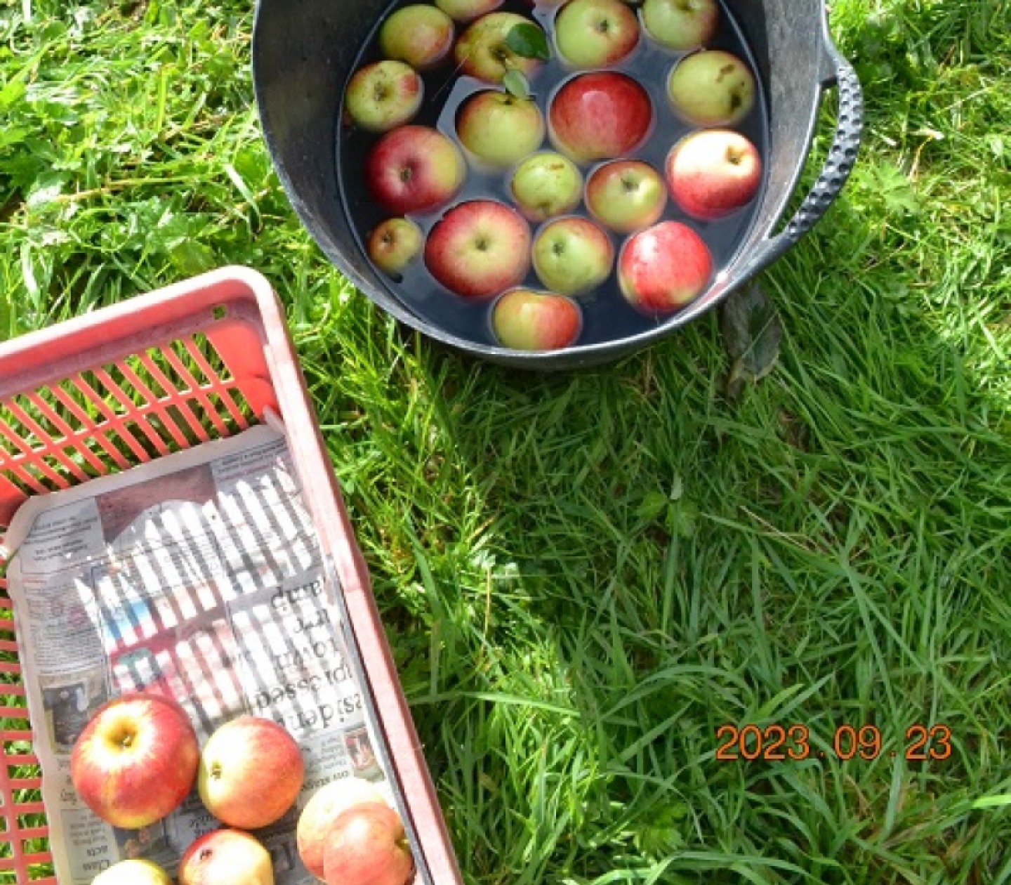 Ovingham Community Orchard