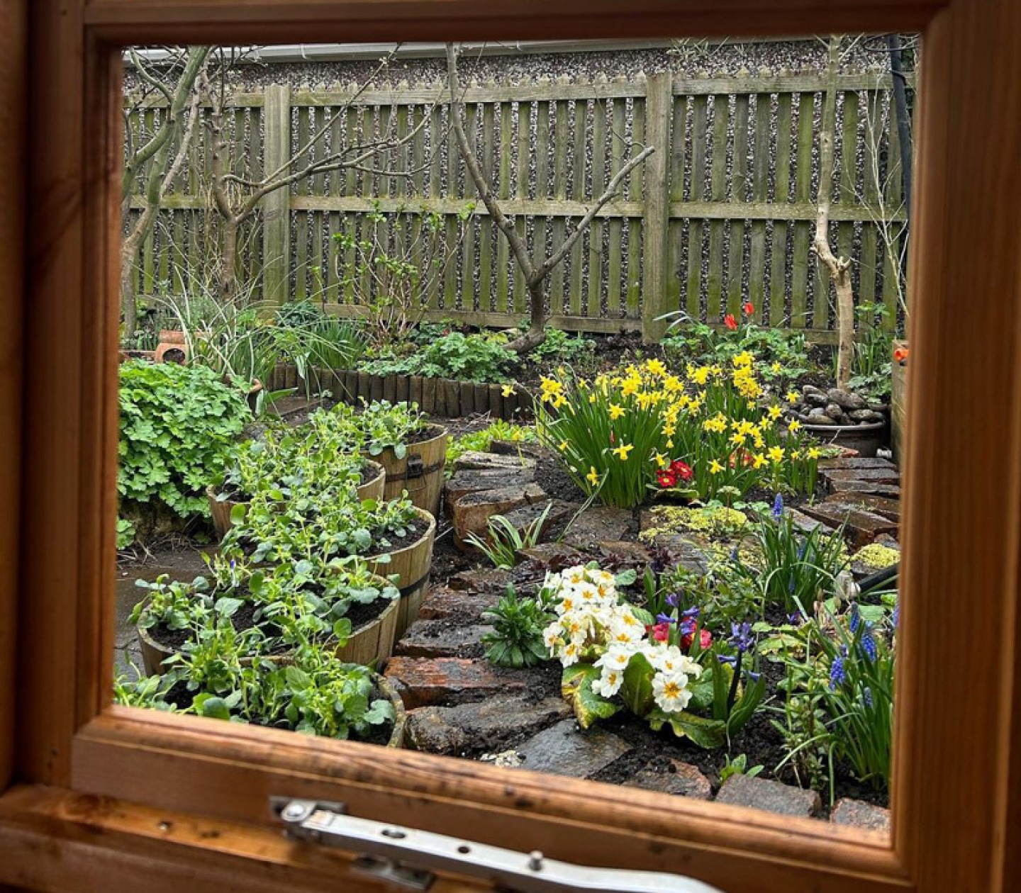 Lovaine Community Garden North Shields