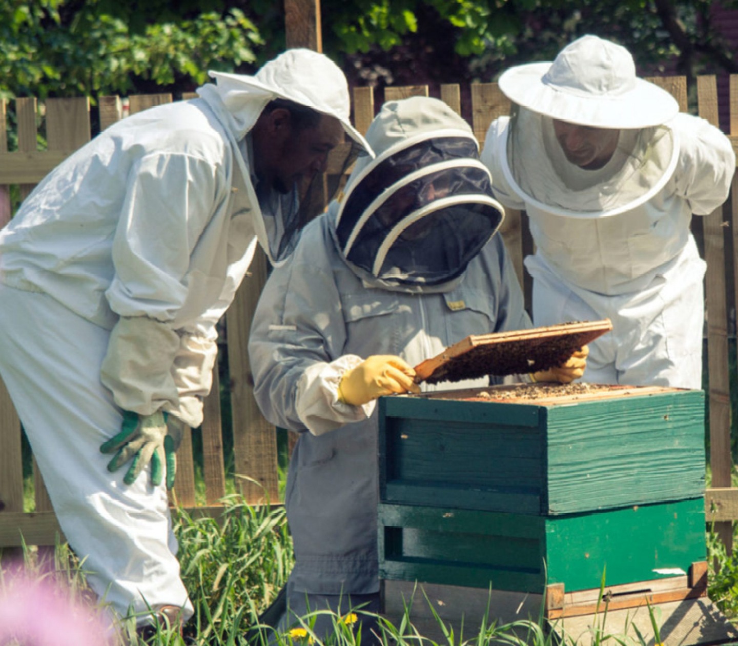 The Comfrey Project Gateshead and Newcastle