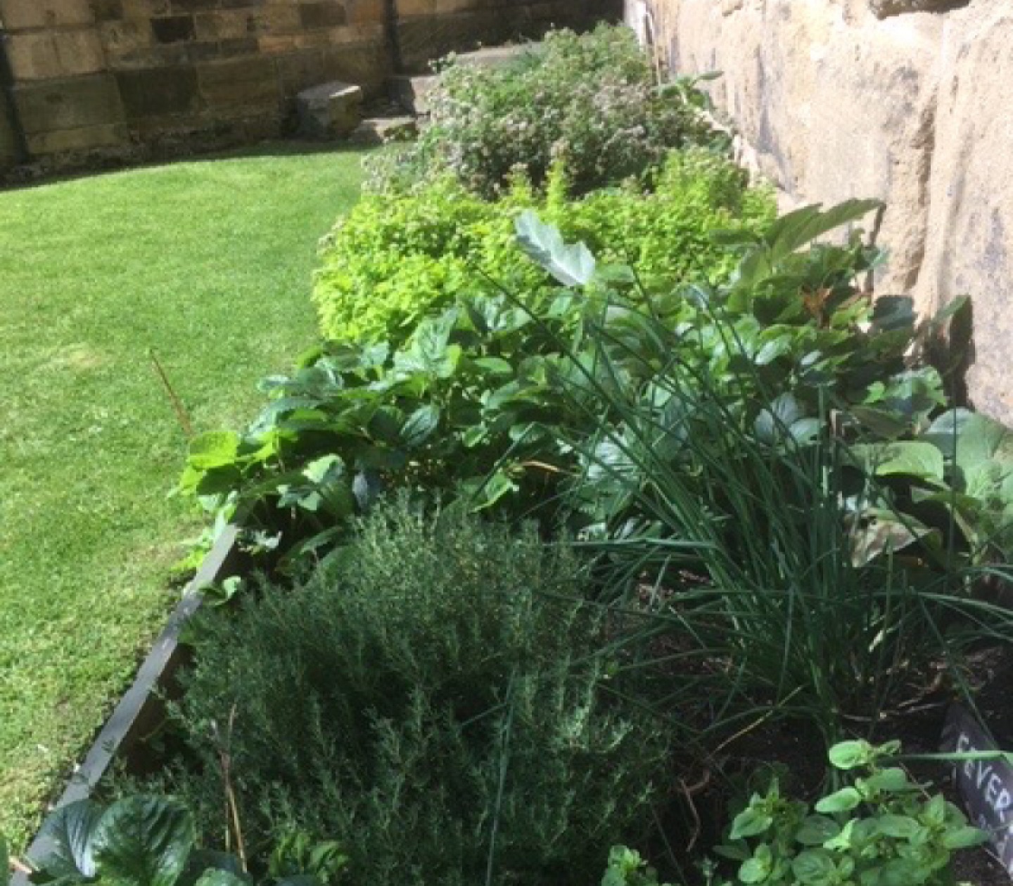 Edible Hexham