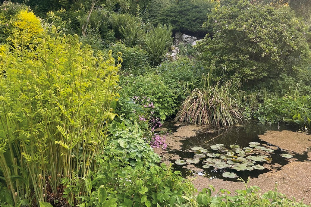 Mindrum Estate