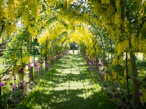 Explore The Stunning Gardens of Seaton Delaval Hall