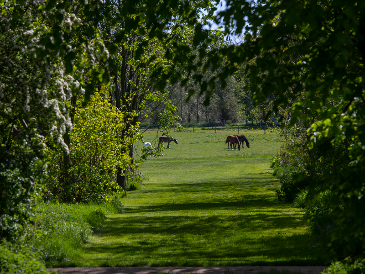 Views into the wider landscape from the South East Gardens (C) National Trust Images - Colin Davison