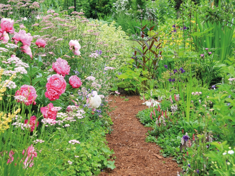 English garden