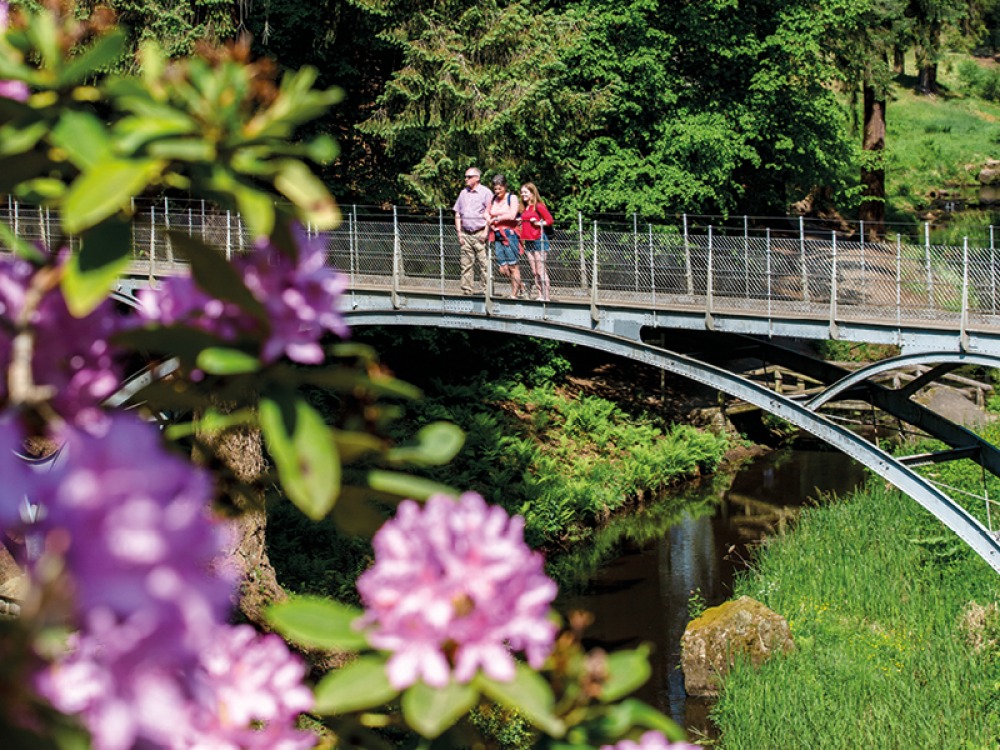 The Iron Bridge with views of the vibrant display