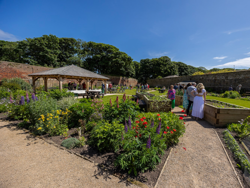 Cresswell Walled Garden in Northumberland Reopens