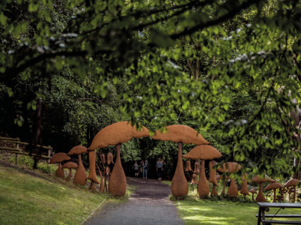 Iron Mushroom sculptures at Durham Botanic Garden