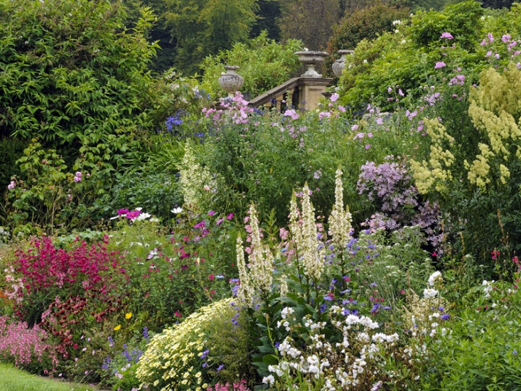 Blossom trees at The Alnwick Garden