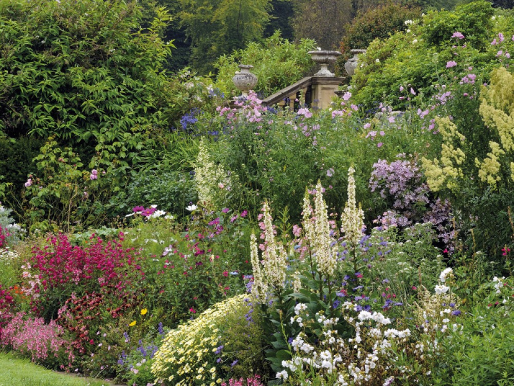 Borders in full bloom at Howick Hall Gardens & Arboretum