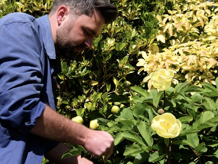 Ross Pearson pruning flowers in May garden