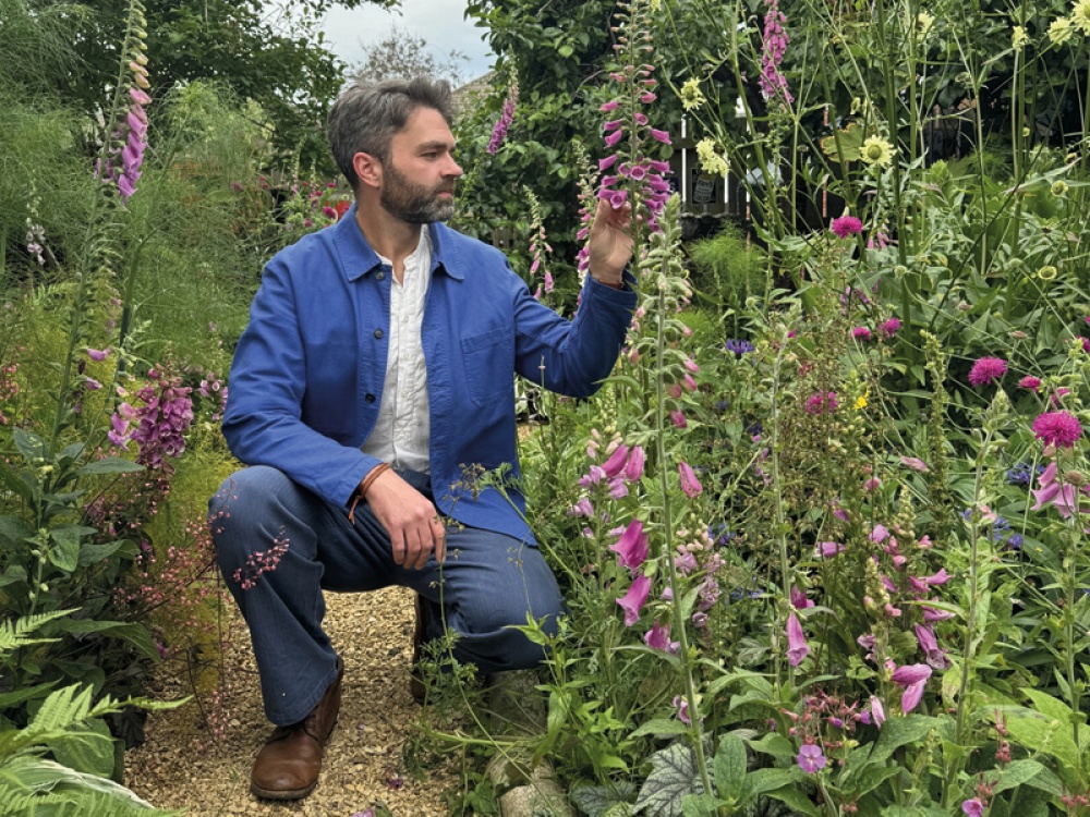 What to Do in the Garden in September