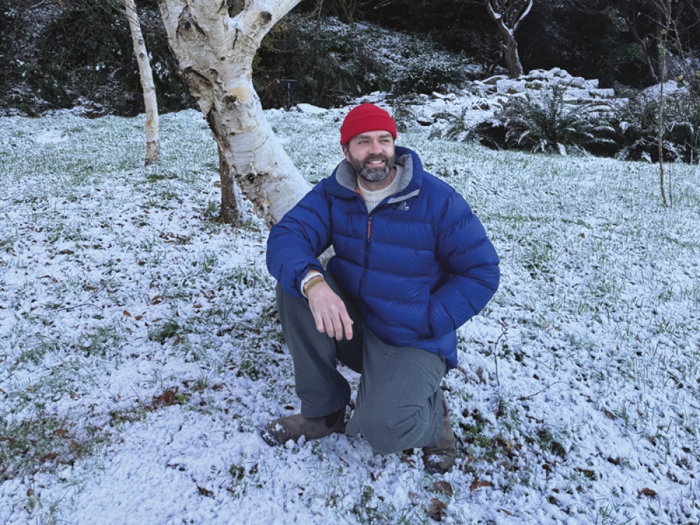 What to Do in the Garden in February