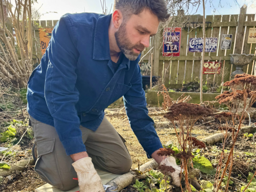 What to Do in the Garden in March